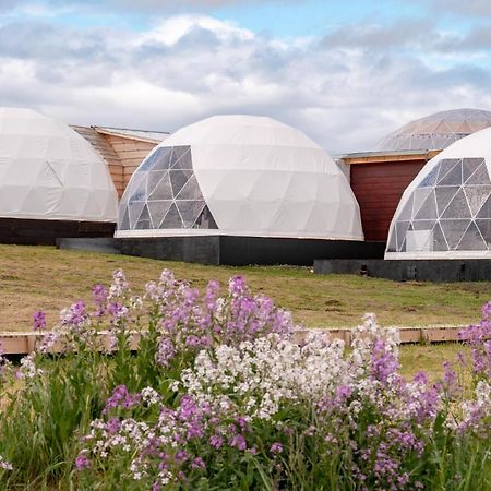 Garden Domes Villa Пуерто Наталес Екстериор снимка