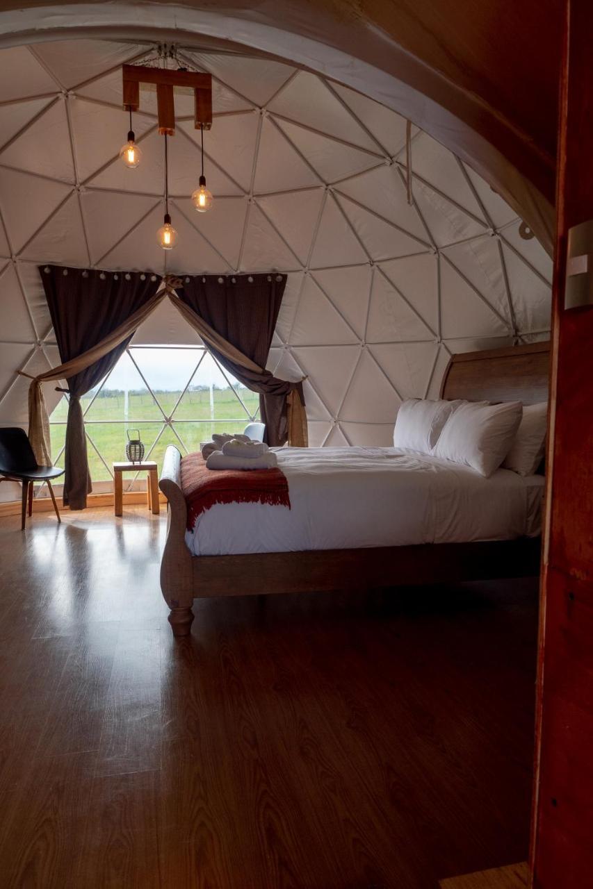 Garden Domes Villa Пуерто Наталес Екстериор снимка
