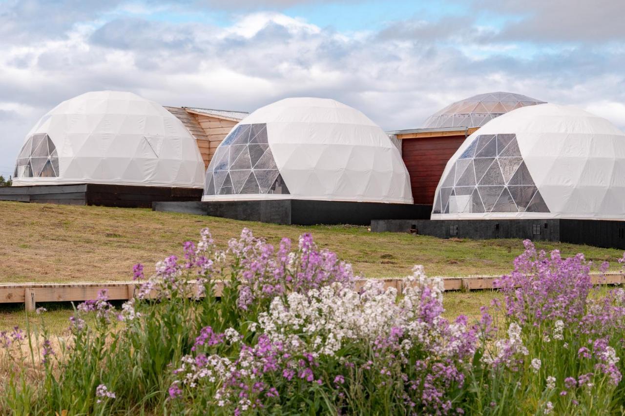 Garden Domes Villa Пуерто Наталес Екстериор снимка