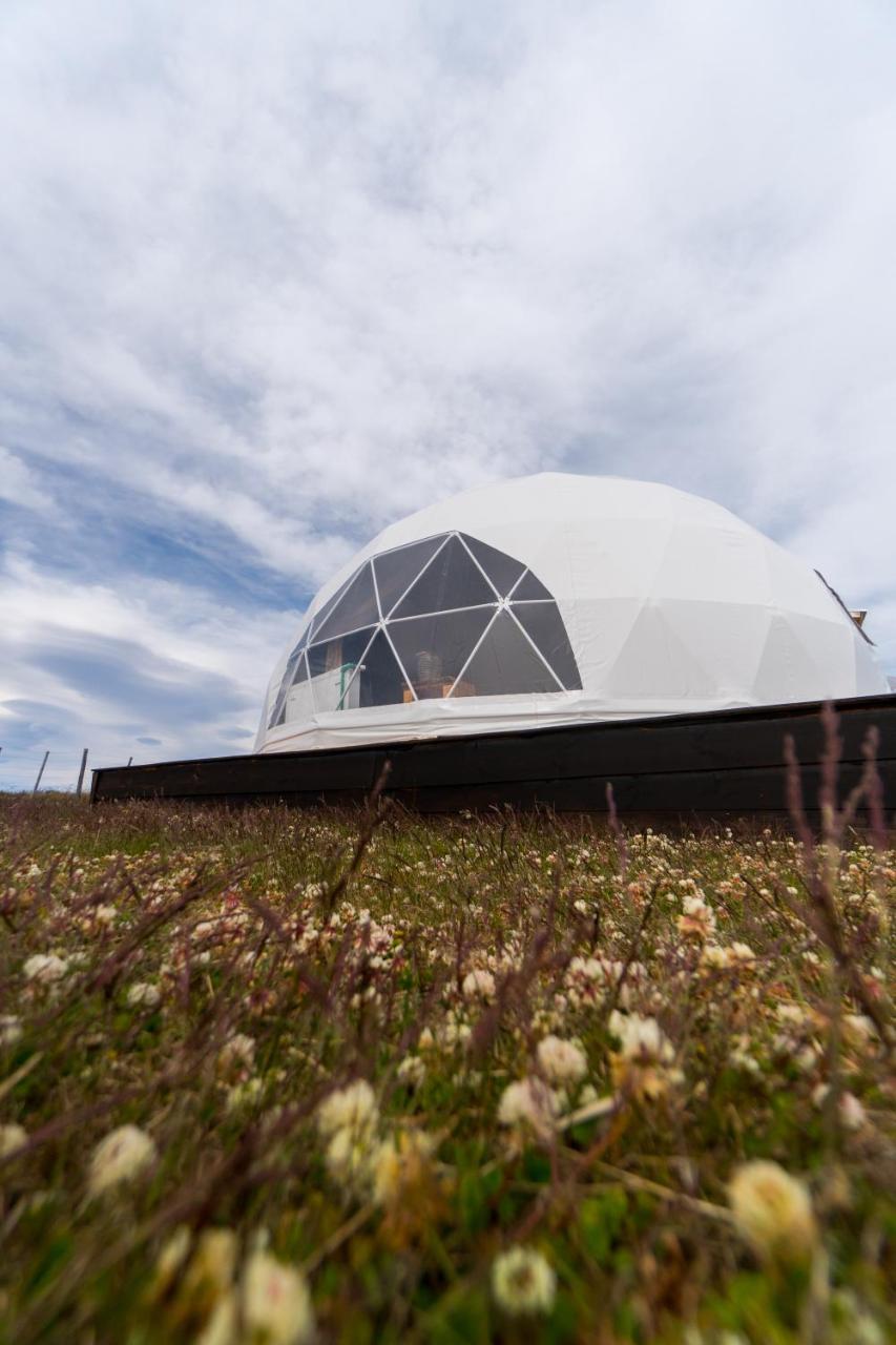 Garden Domes Villa Пуерто Наталес Екстериор снимка